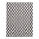 9x11 Brown & White Checkered Moroccan Rug, 269x349Cm