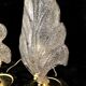 Pair of lamps & Barovier Toso Murano