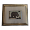 Animal engraving gilded stuccoed wood frame 1907