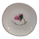 Plate cup La Closerie des Lilas vintage flower pattern France pillivuyt