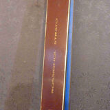 Vintage pair of ski team France