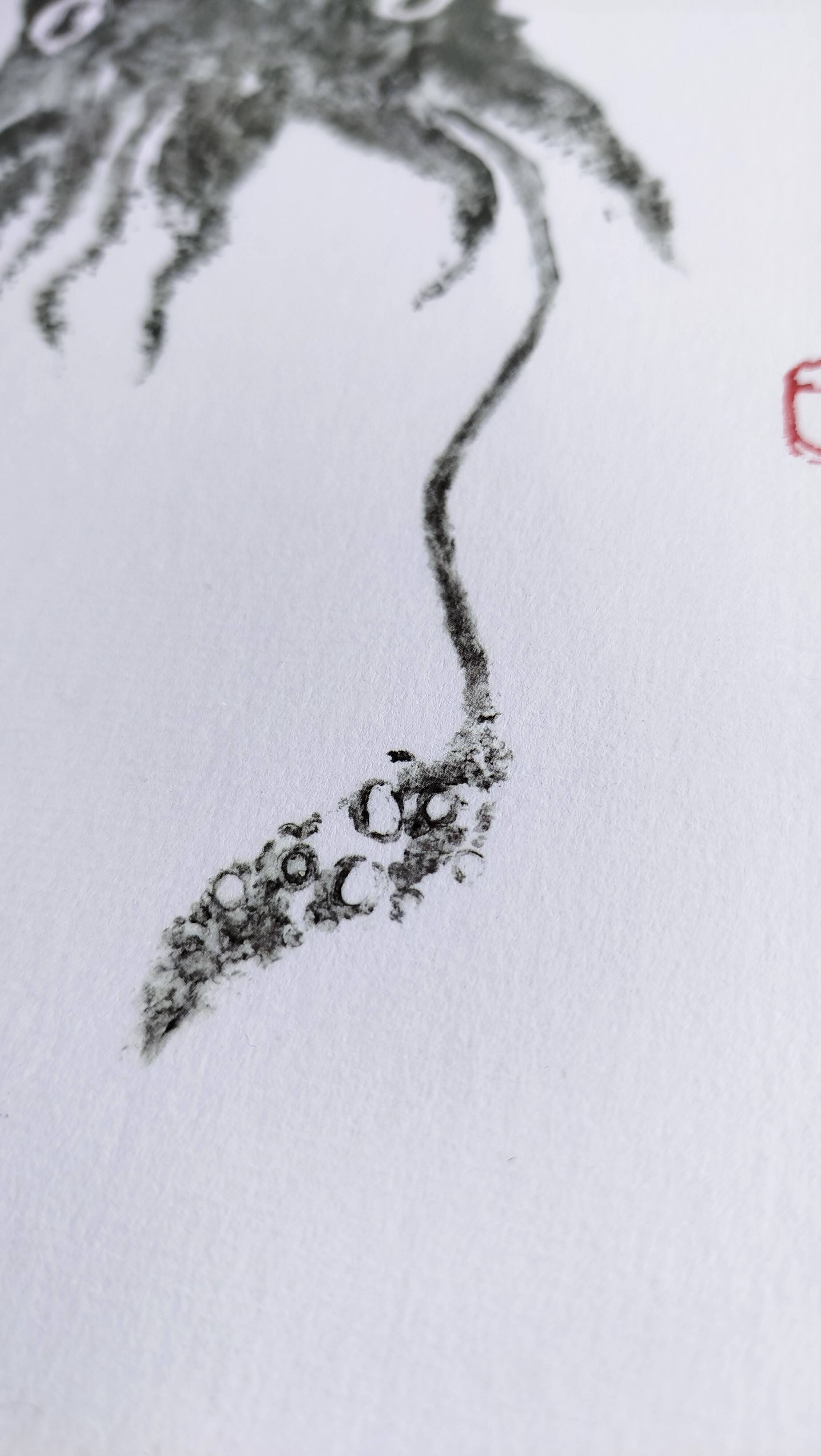 Impression d'art encadrée, "Gyotaku d'une seiche"