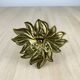 Golden brass flower candlestick, vintage