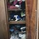 Carved dressing wardrobe