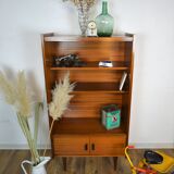 Scandinavian Library