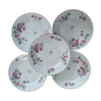 Old plates