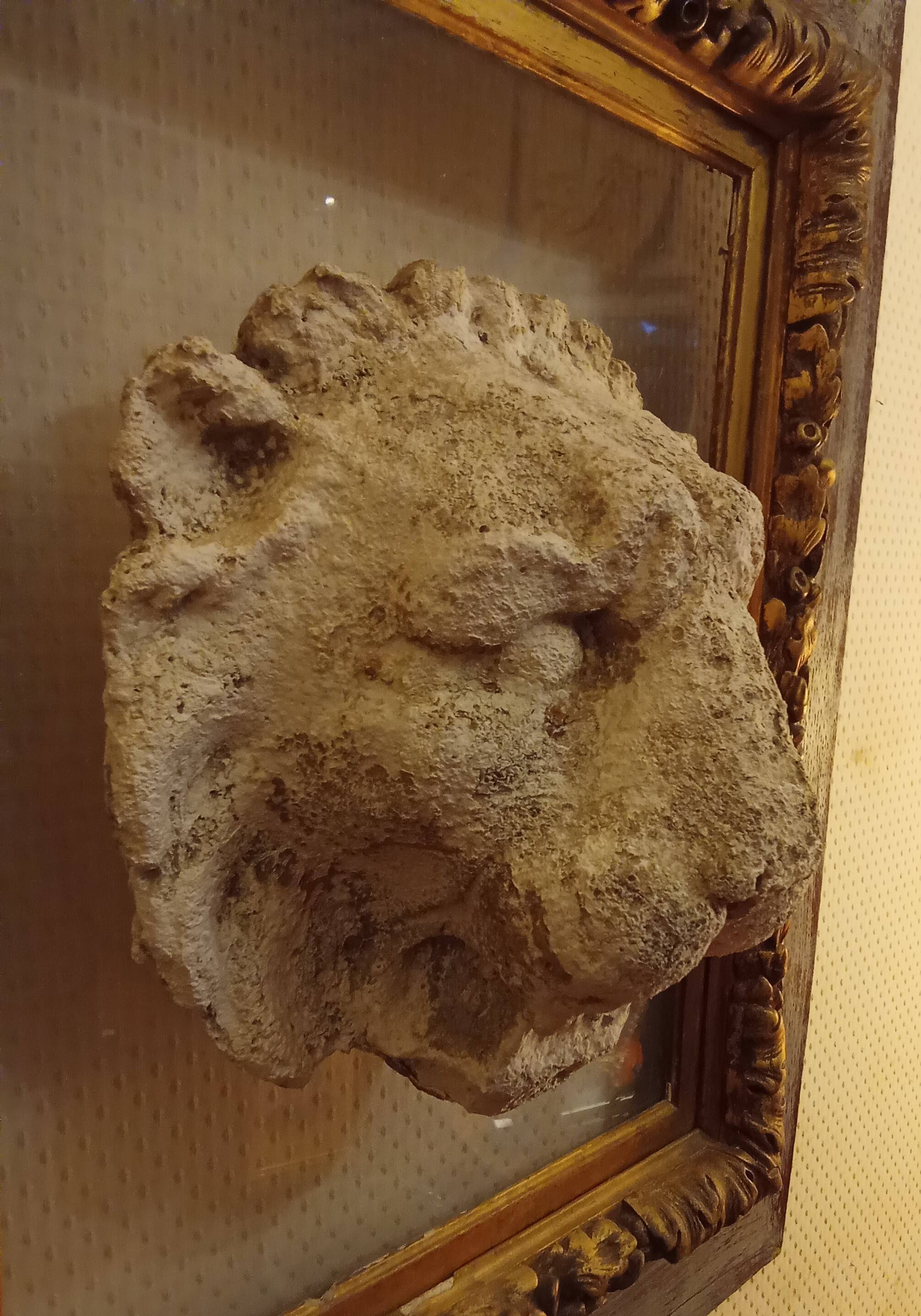 Antique gilded frame with stone lion head ornament on plexiglass