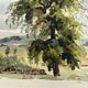 Painting Set of 3 watercolors Village and countryside early 20th century