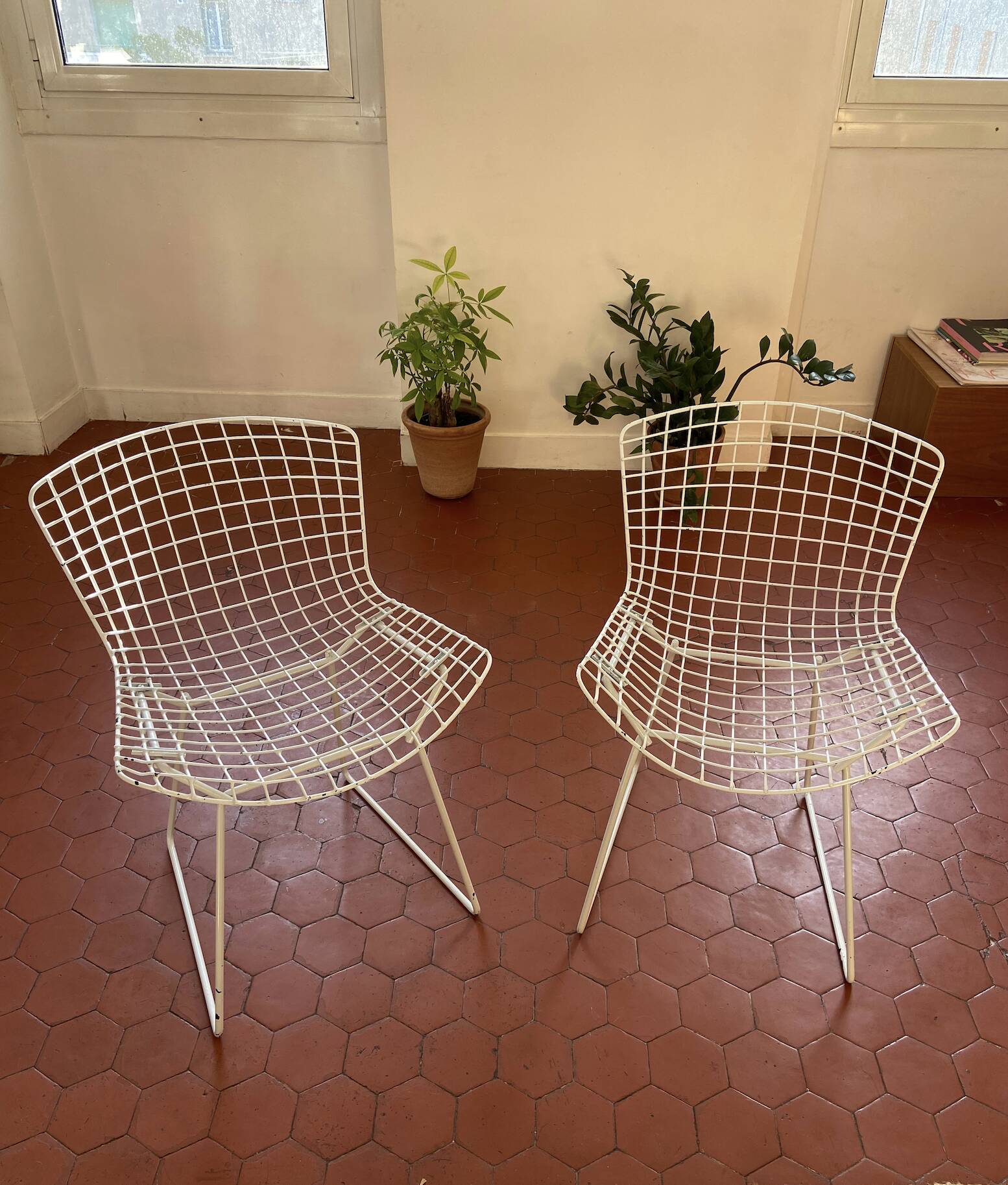 Harry Bertoia chairs