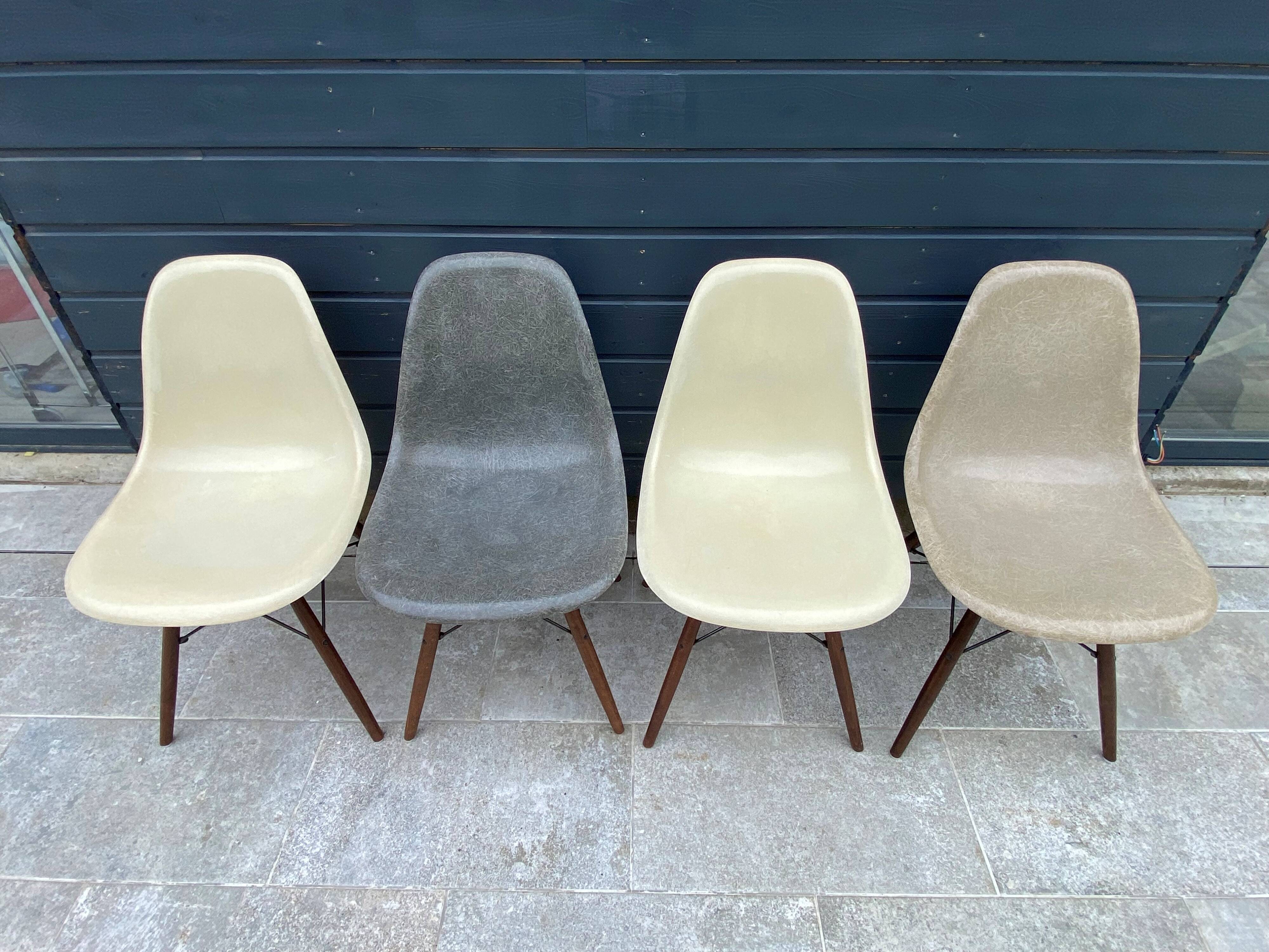 Lot of 4 DSW chairs in walnut fiber by Eames Herman Miller, vintage