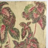 Solenostermon (Coleus Blumei), 1950s. Watercolor on paper