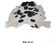 Genuine cowhide rug 1.9 x 1.9 m - Ref. 17