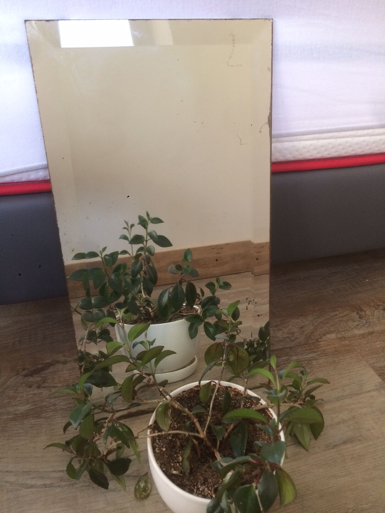 Old bevelled mirror 51x27,5cm