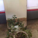 Old bevelled mirror 51x27,5cm