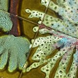 Vintage ceramic coffee table, floral patterns and chrome base.