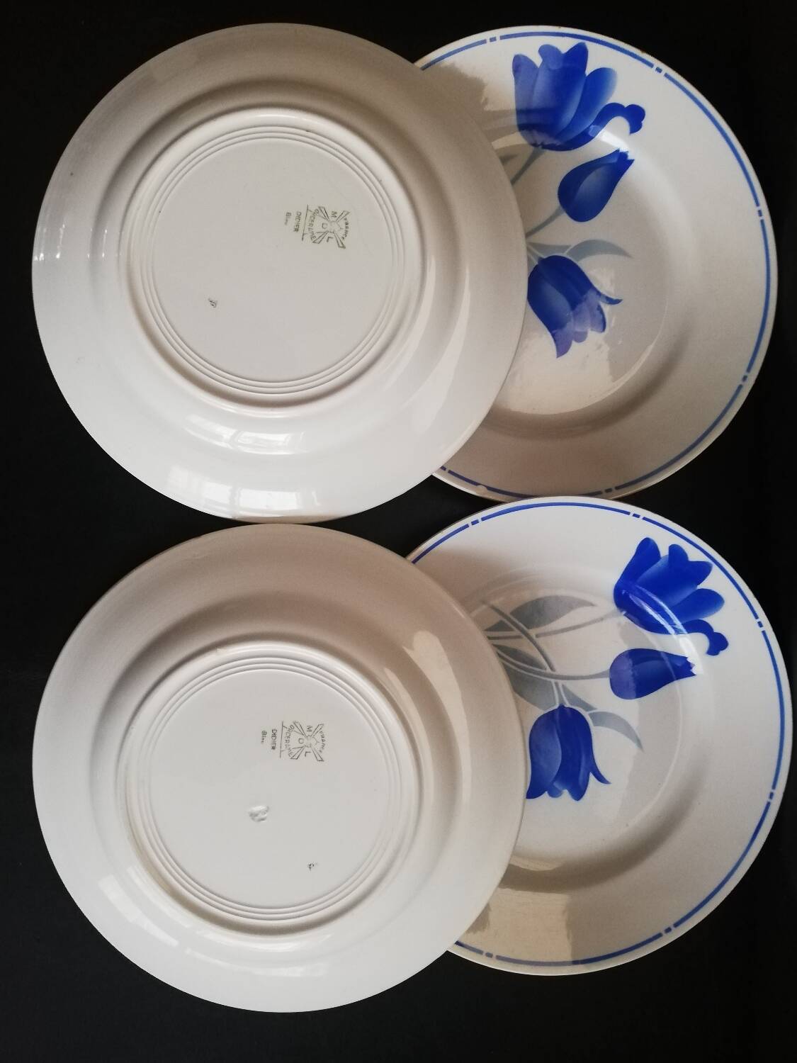 Lot 6 flat plates, 6 hollow Didier MDL