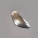 Shell-shaped bowl