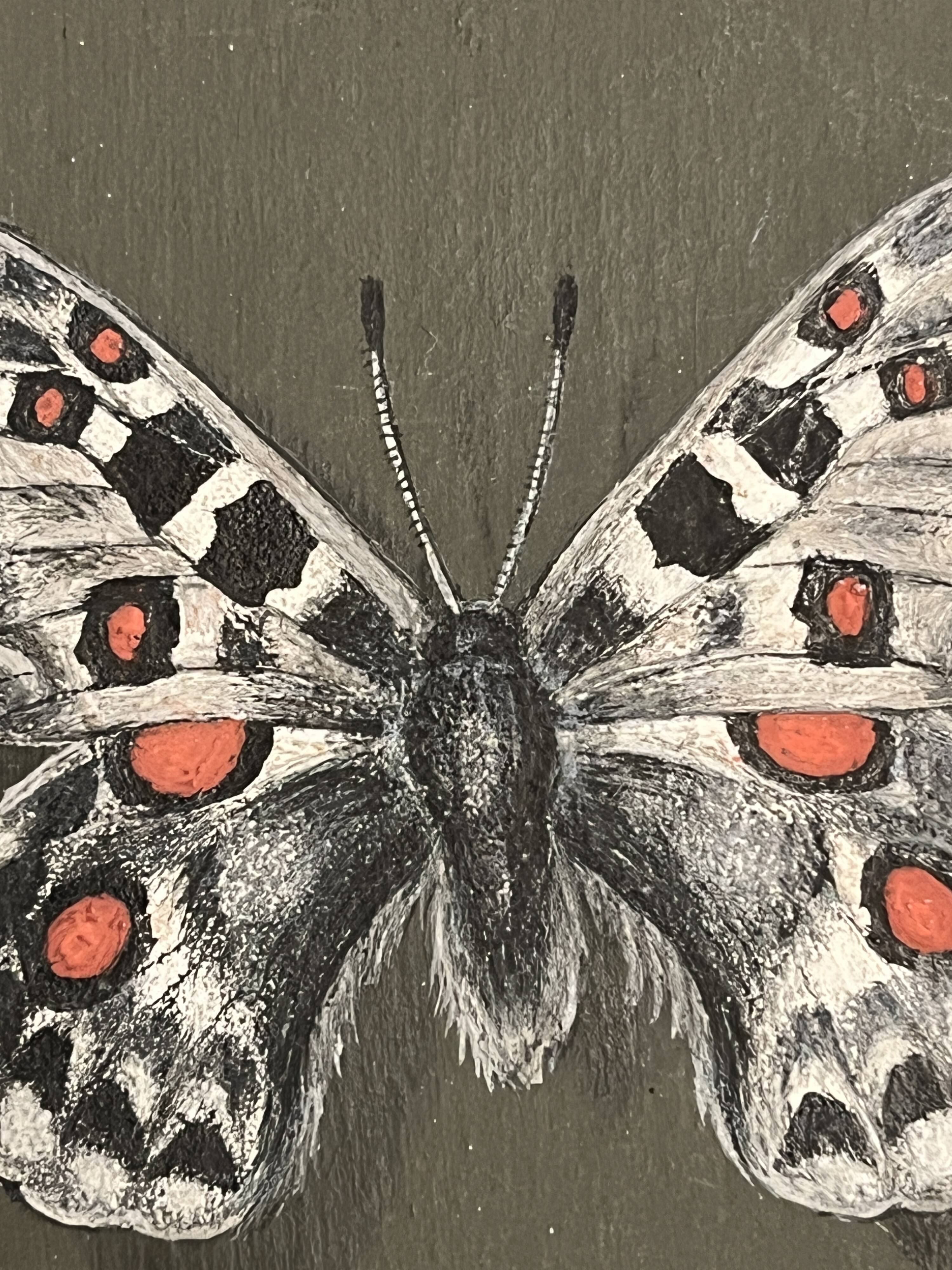 Pastel, butterfly drawing signed, 20th century frame