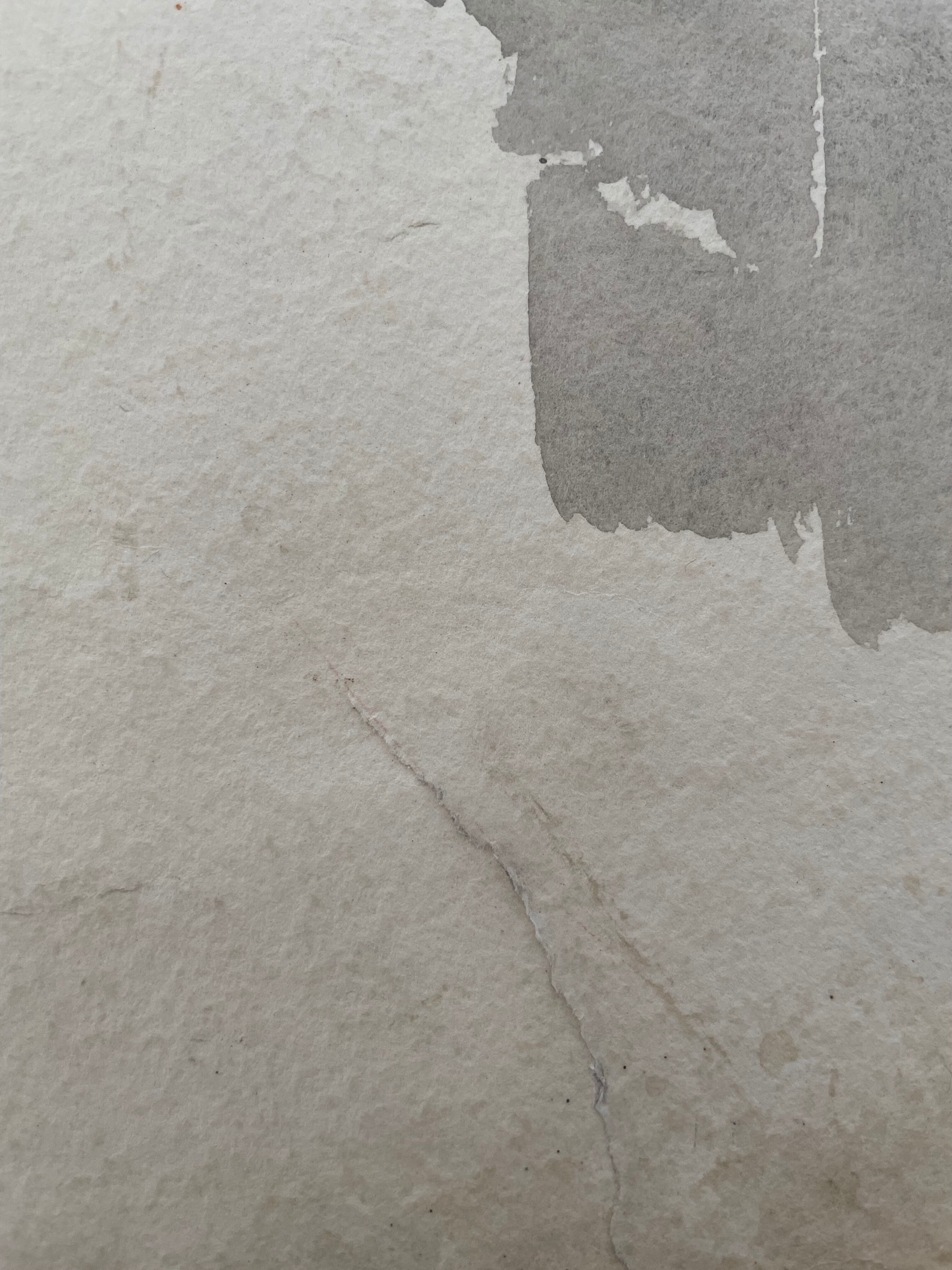 Painting decorative art interior architecture 30-50s