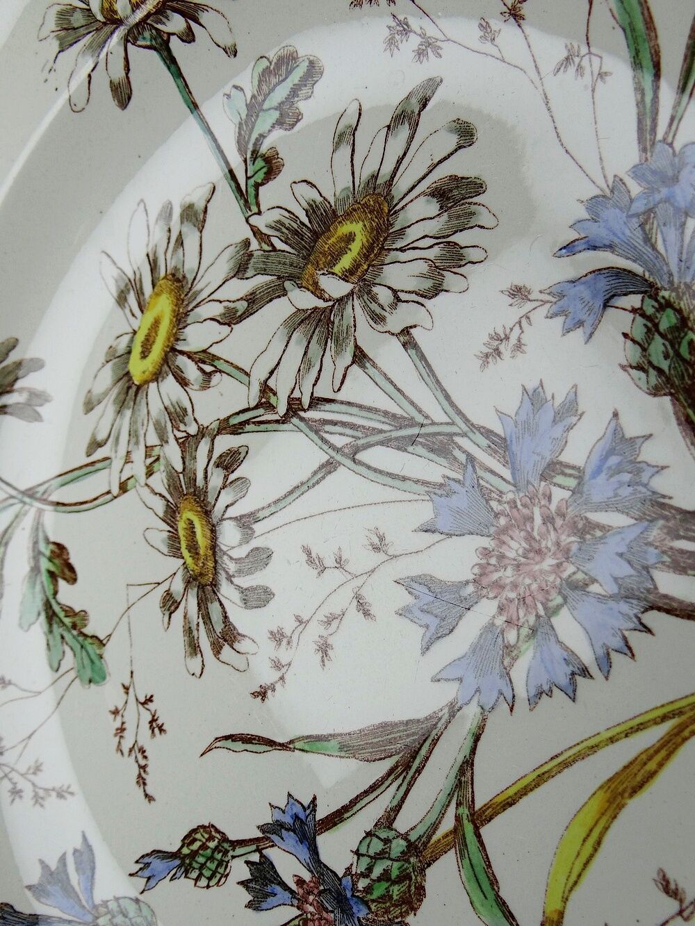 Antique Longchamp shallow dish with polychrome daisies in ironstone.