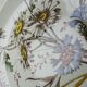Antique Longchamp shallow dish with polychrome daisies in ironstone.
