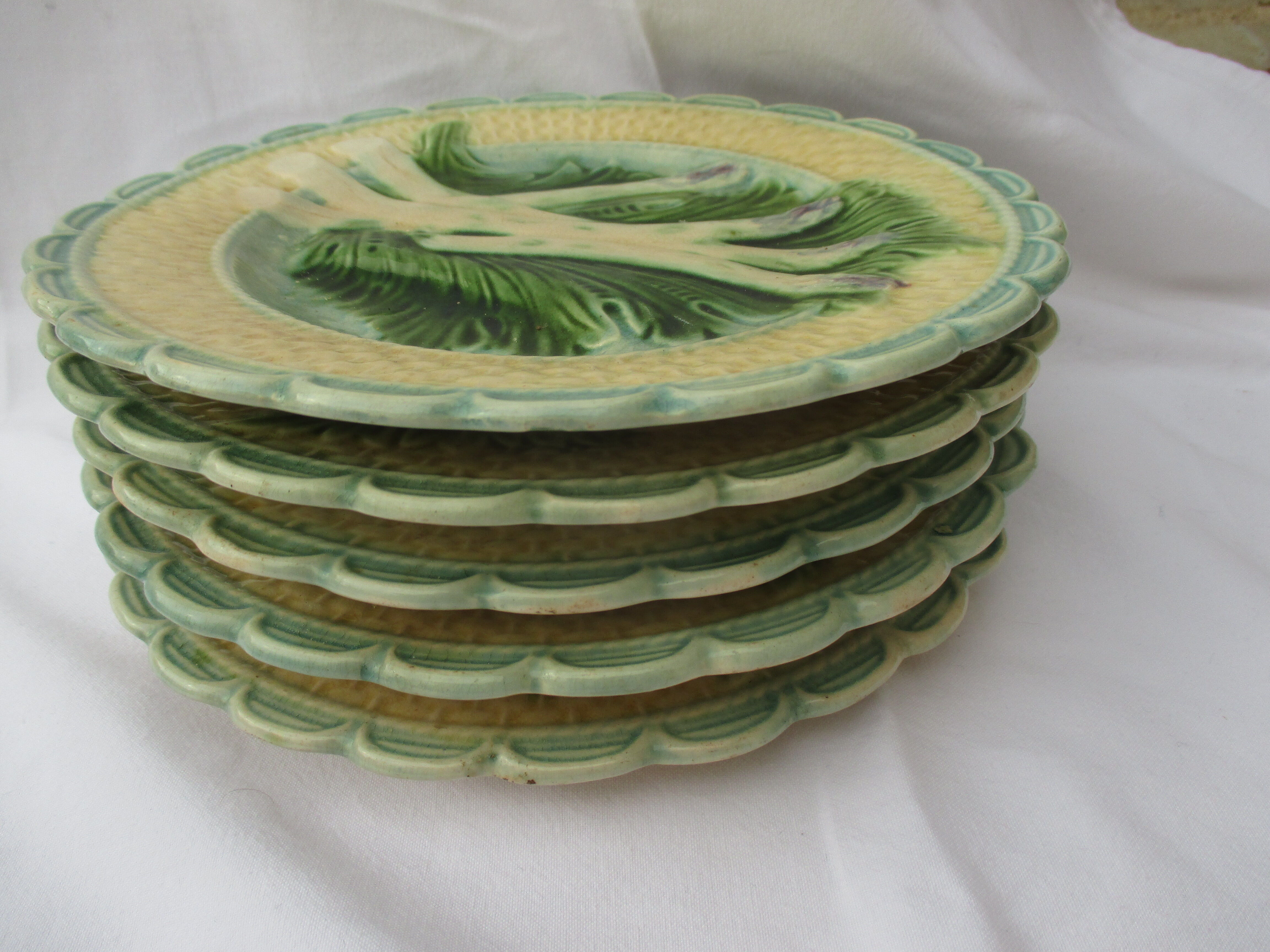 Asparagus service in barbotine