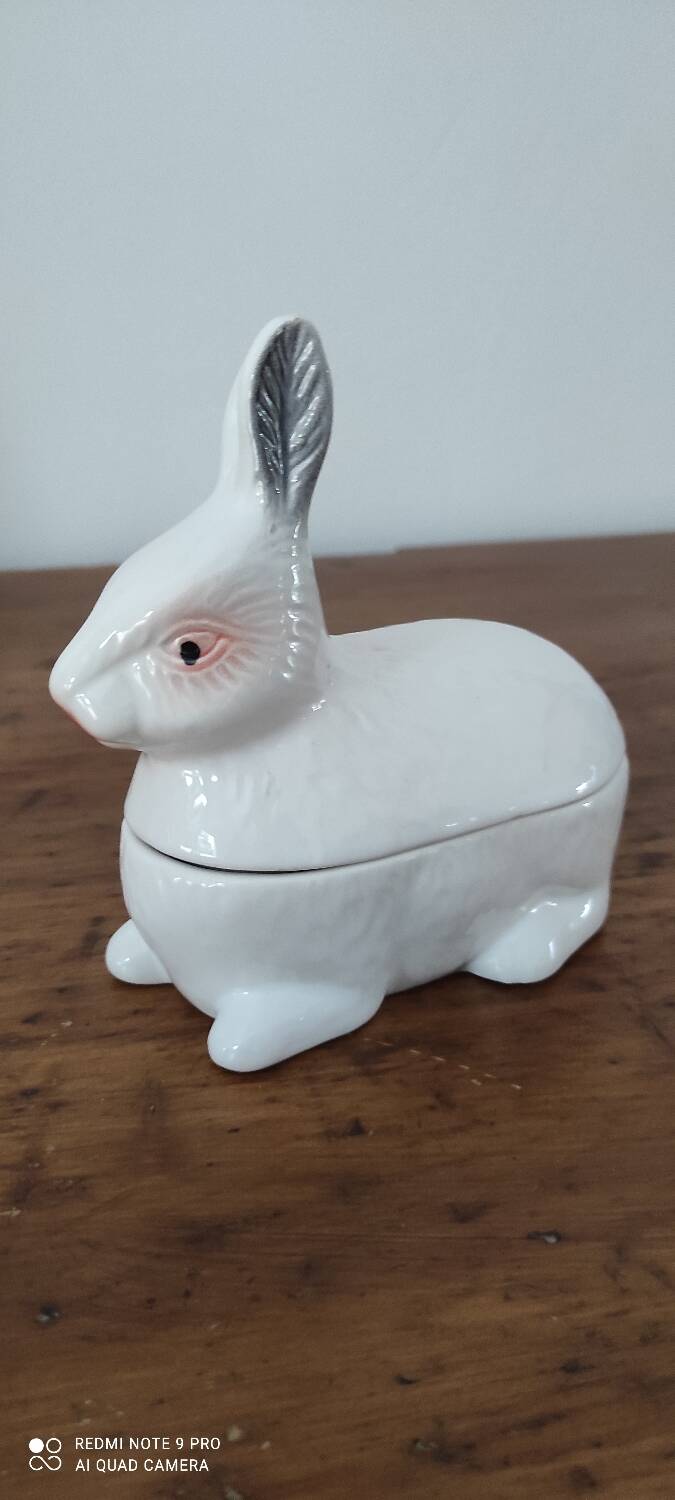 Caugant rabbit box