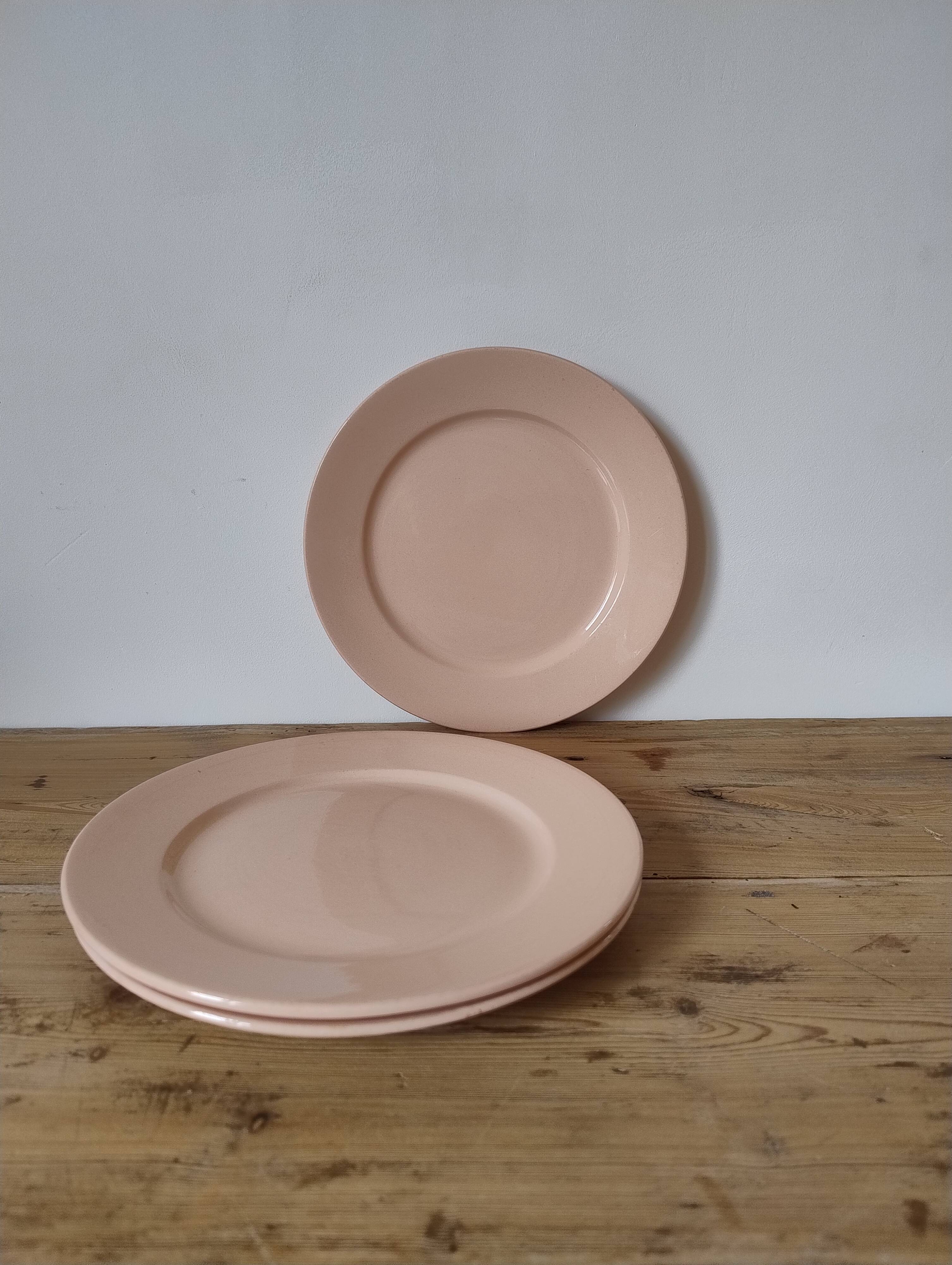 Vintage dessert plate in earthenware - Digoin & Sarreguemines
