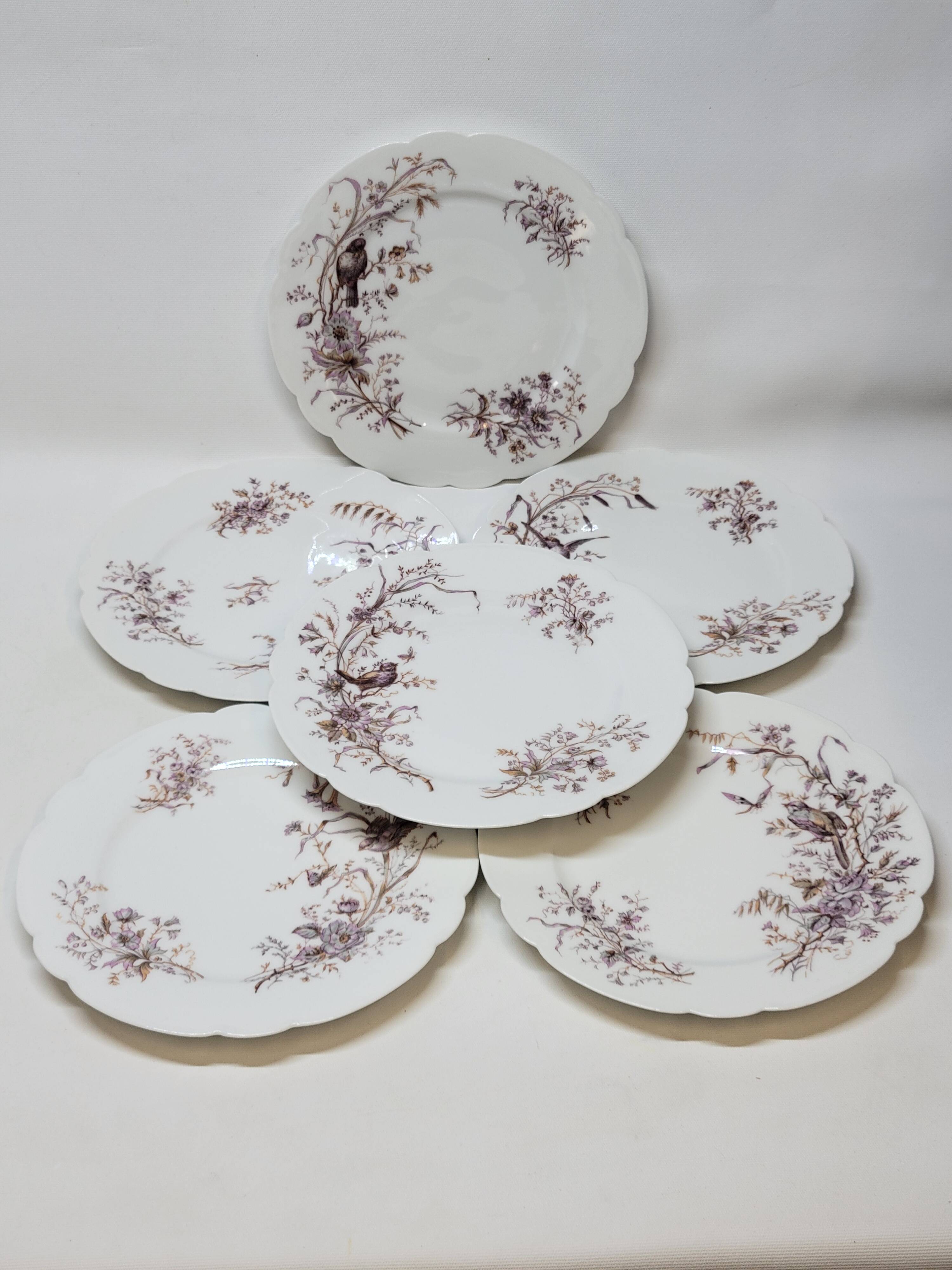 6 Superb Antique 19th Century White Porcelain Plates with Bird Decor