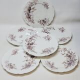 6 Superbes Assiettes Anciennes XIXème En Porcelaine Blanche Décor Oiseaux