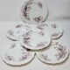 6 Superbes Assiettes Anciennes XIXème En Porcelaine Blanche Décor Oiseaux