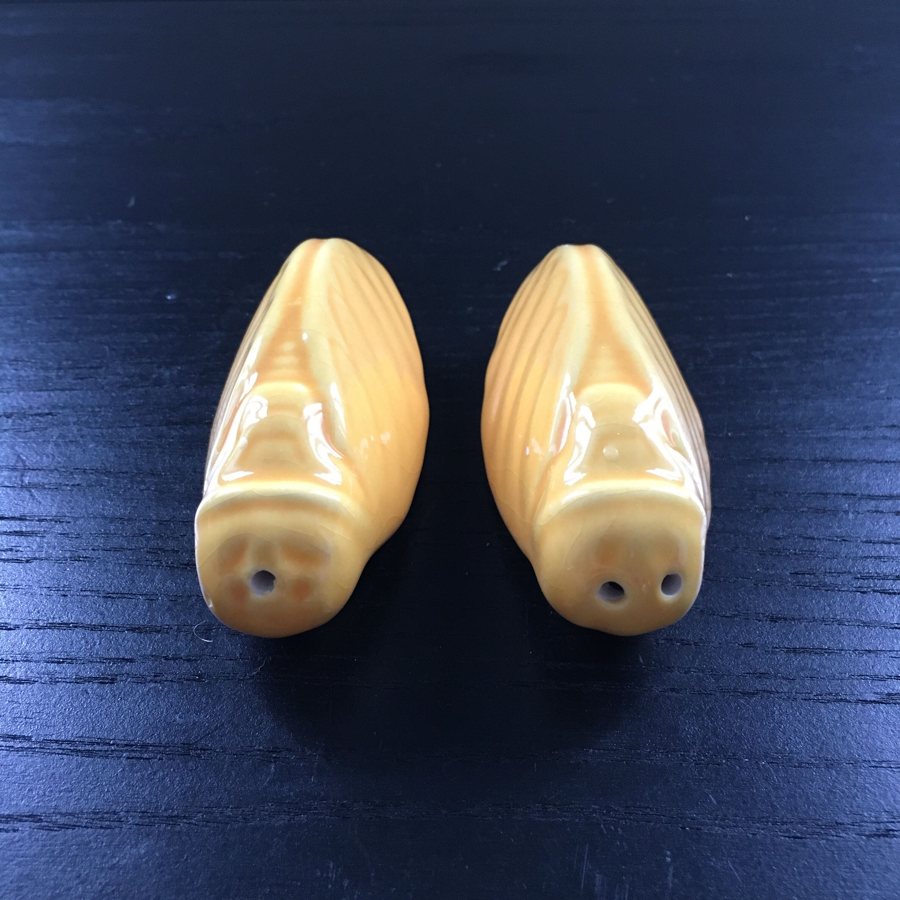 Saliere and pepper cicadas