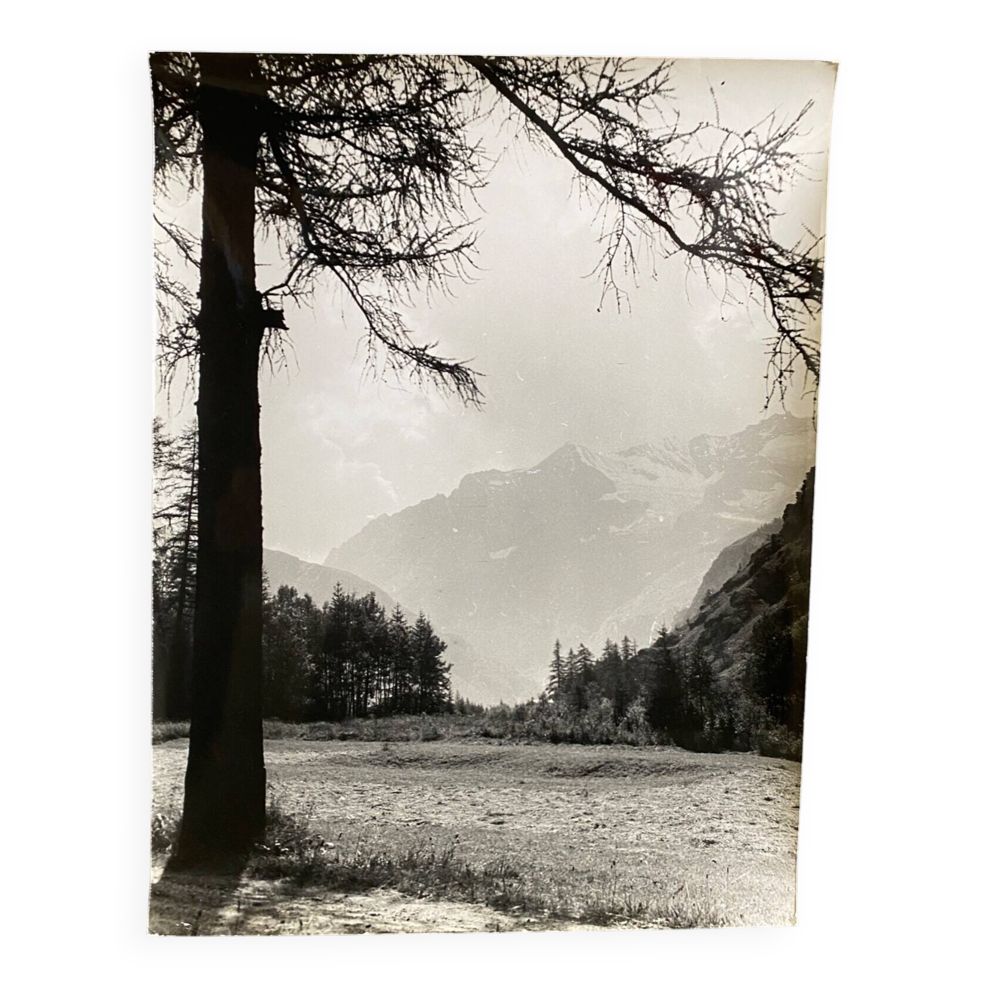 Silver photo Bernard Darot 20th Les Mélèzes