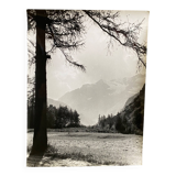 Silver photo Bernard Darot 20th Les Mélèzes