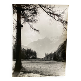 Photo argentique Bernard Darot XXe Les Mélèzes
