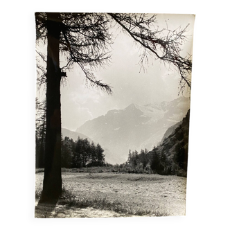 Silver photo Bernard Darot 20th Les Mélèzes