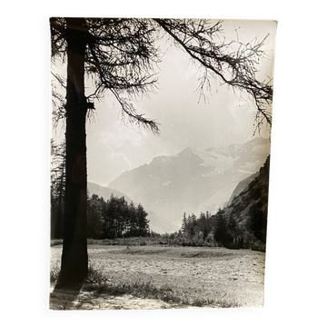 Photo argentique Bernard Darot XXe Les Mélèzes
