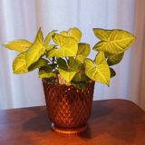 Cache-pot vintage Syla