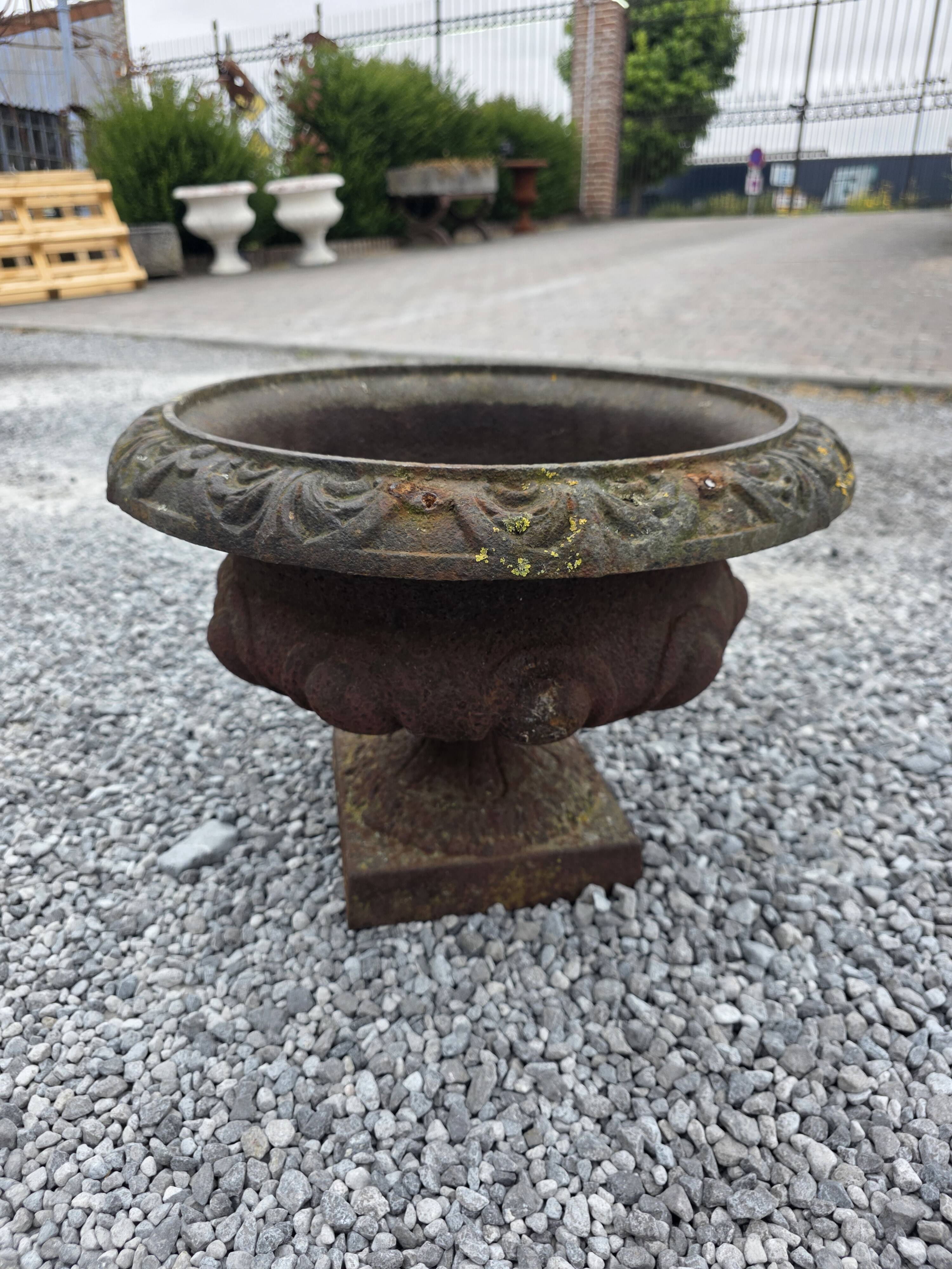 19th-century cast iron medical vase