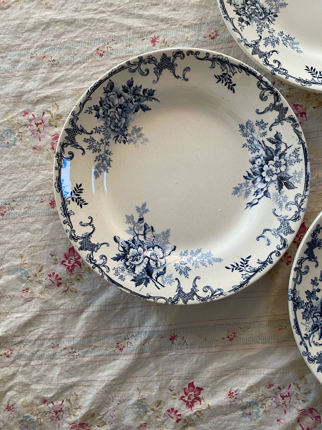 Set of 4 flat ironstone plates by Hippolyte Boulenger