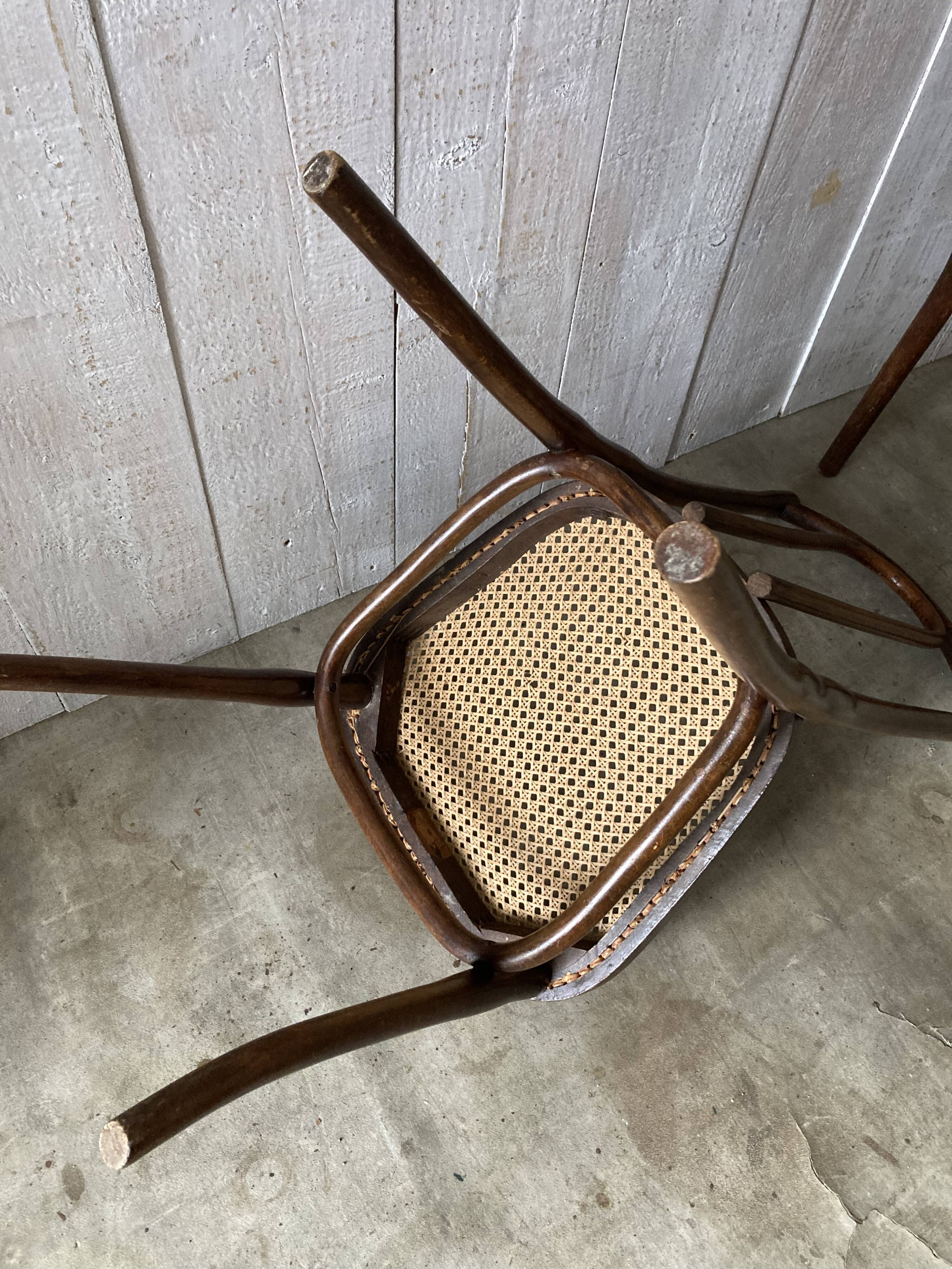 Series of 3 Thonet chairs