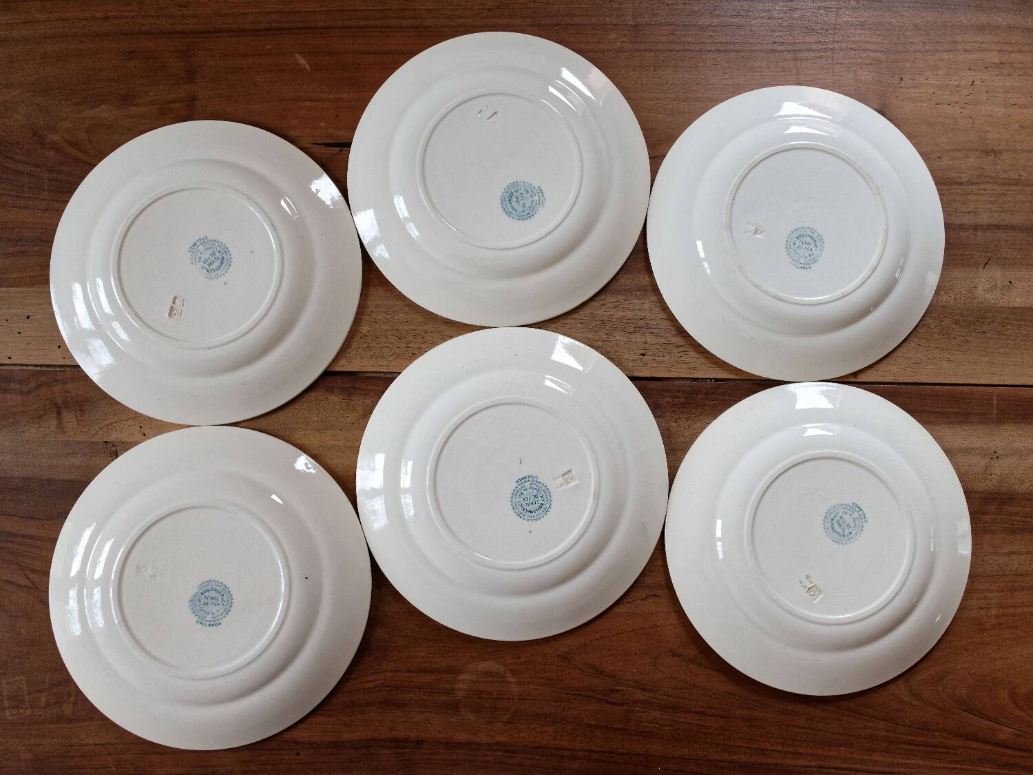 Lot 6 assiettes plates terre de fer Choisy le Roi Cyclamen
