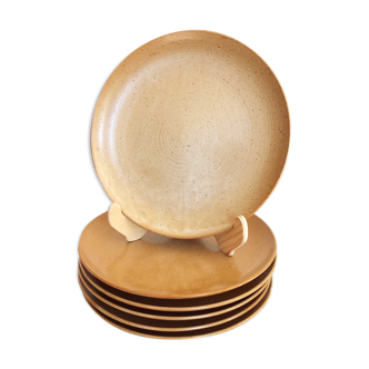6 flat plates sandstone cnp village