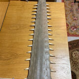 Old sawfish rostrum