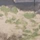 Marthe orant (1874-1957), spring, oil on canvas