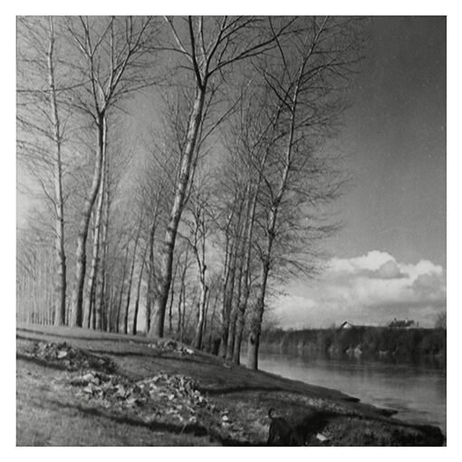 Winter landscape, riverside