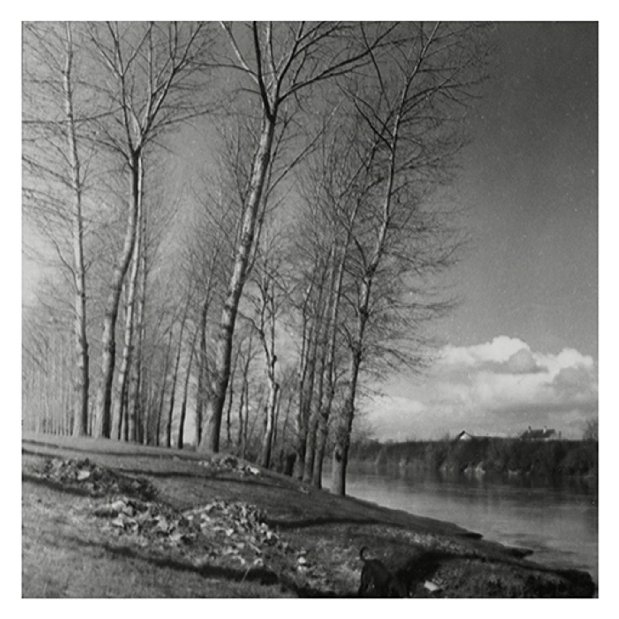 Paysage hivernal, bord de rivière