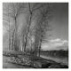 Winter landscape, riverside
