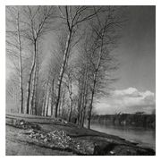 Paysage hivernal, bord de rivière