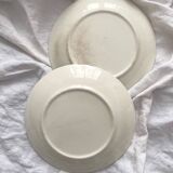 2 old slip plates decorated with roses
